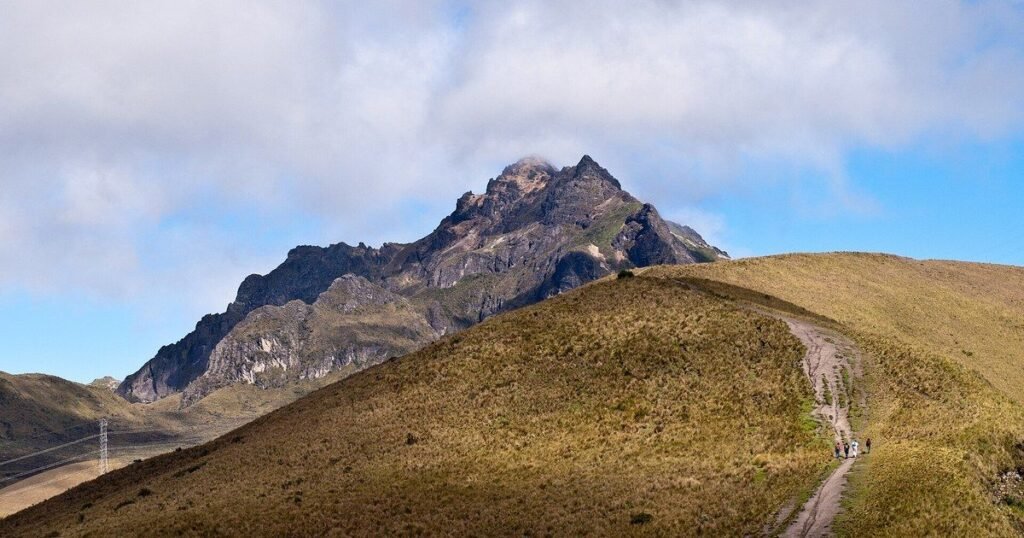 La encontraron a más de 4.600 metros con tres cachorros recién nacidos: Cumbre y sus crías ya tienen hogar