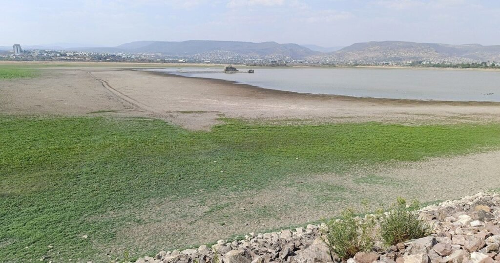 El “vaquero pescador” que rompió un vidrio con piedras para sacar a una mujer de su auto que se hundía en la presa El Palote